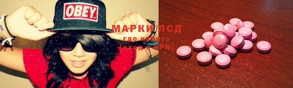 ГАЛЛЮЦИНОГЕННЫЕ ГРИБЫ Каменка