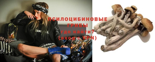хмурый Инта