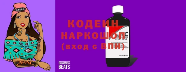 хмурый Инта