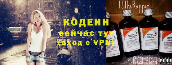 ГАЛЛЮЦИНОГЕННЫЕ ГРИБЫ Каменка