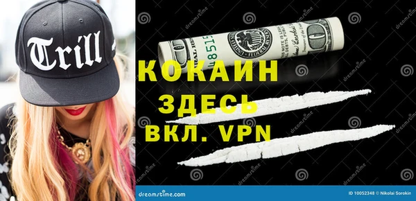 хмурый Инта