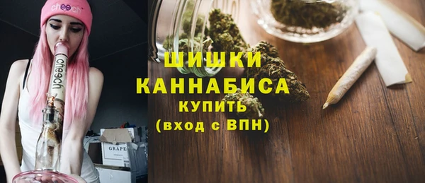 хмурый Инта