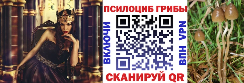 Галлюциногенные грибы Magic Shrooms  Туринск 